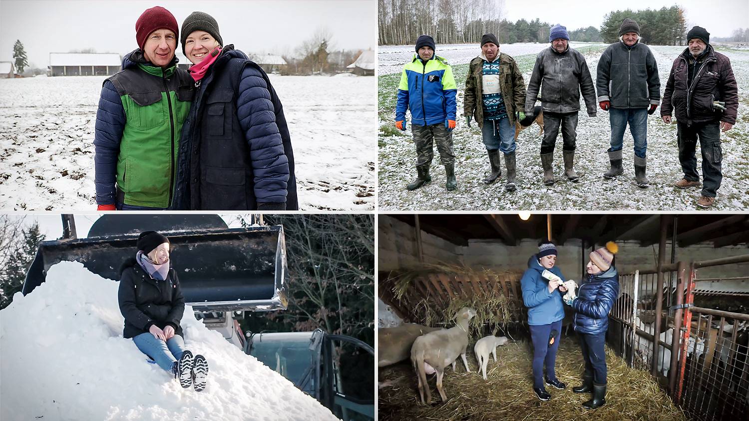 Rolnicy Podlasie Sezon Odcinek Bitwa Na Nie Ki Fokus Tv