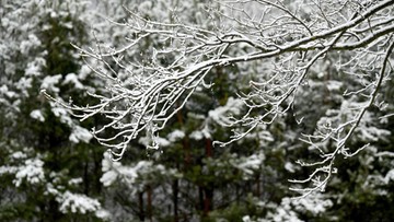 Pogoda Na Niedziel Synoptyk B Dzie Pochmurno Przewidywane Opady