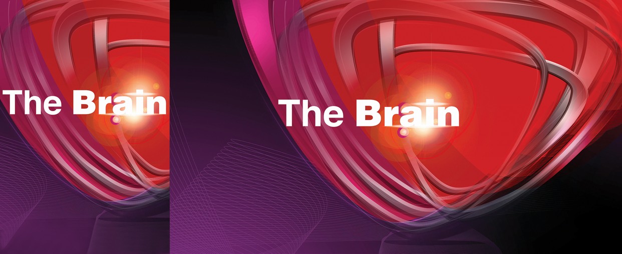 The Brain Genialny Umysł od marca w Polsacie Polsat pl