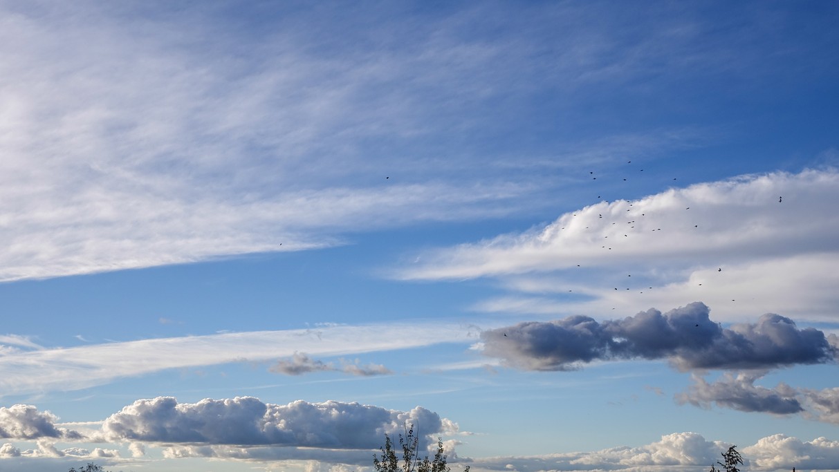 Czerwiec w obiektywie - zdjęcie 50