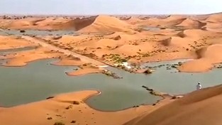 12.10.2021 05:57 Na arabskiej pustyni pojawiły się jeziora. Ludzie zjeżdżają się, aby je zobaczyć. Skąd się wzięły? [WIDEO]