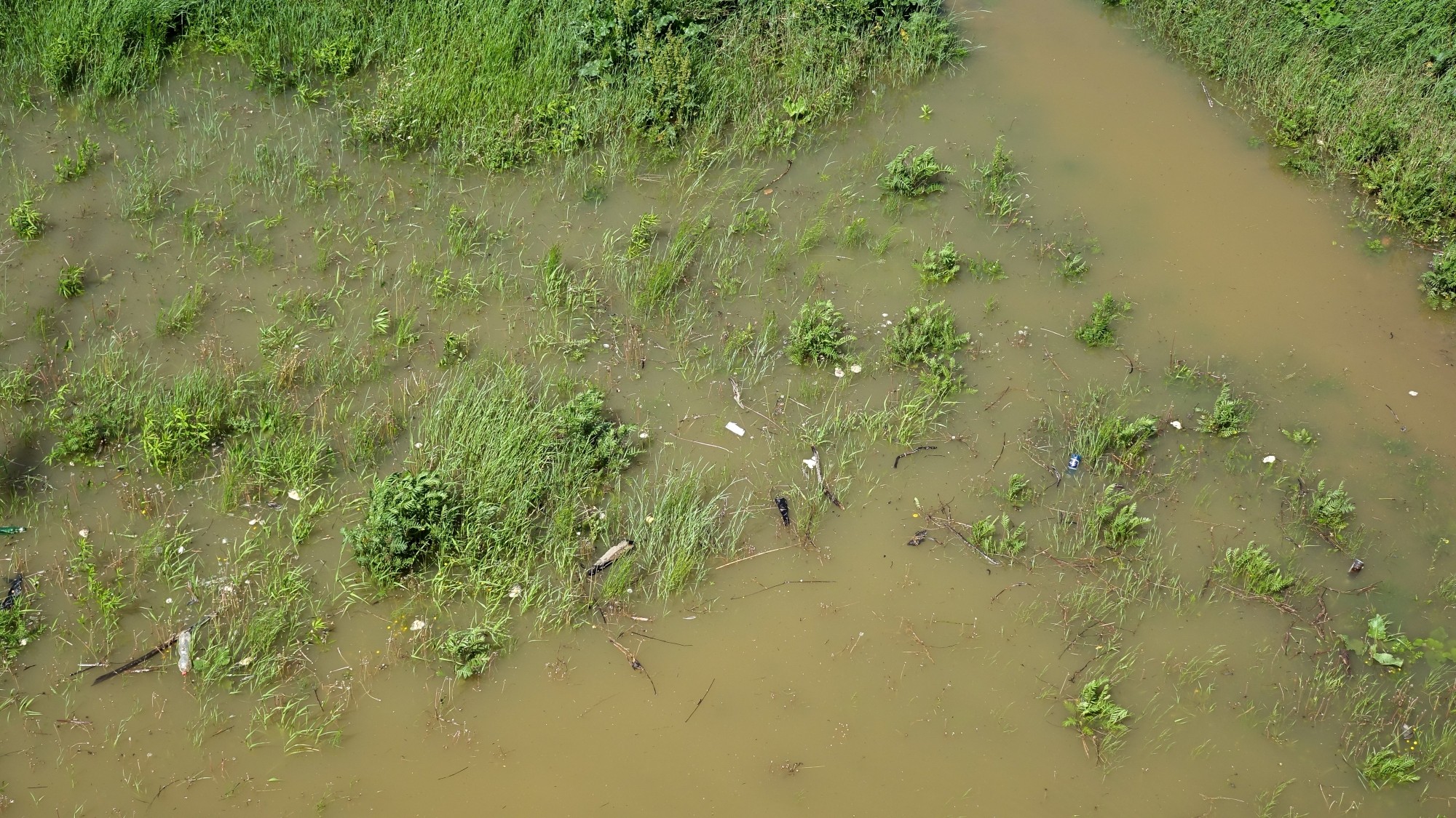 Maj w obiektywie - zdjęcie 54