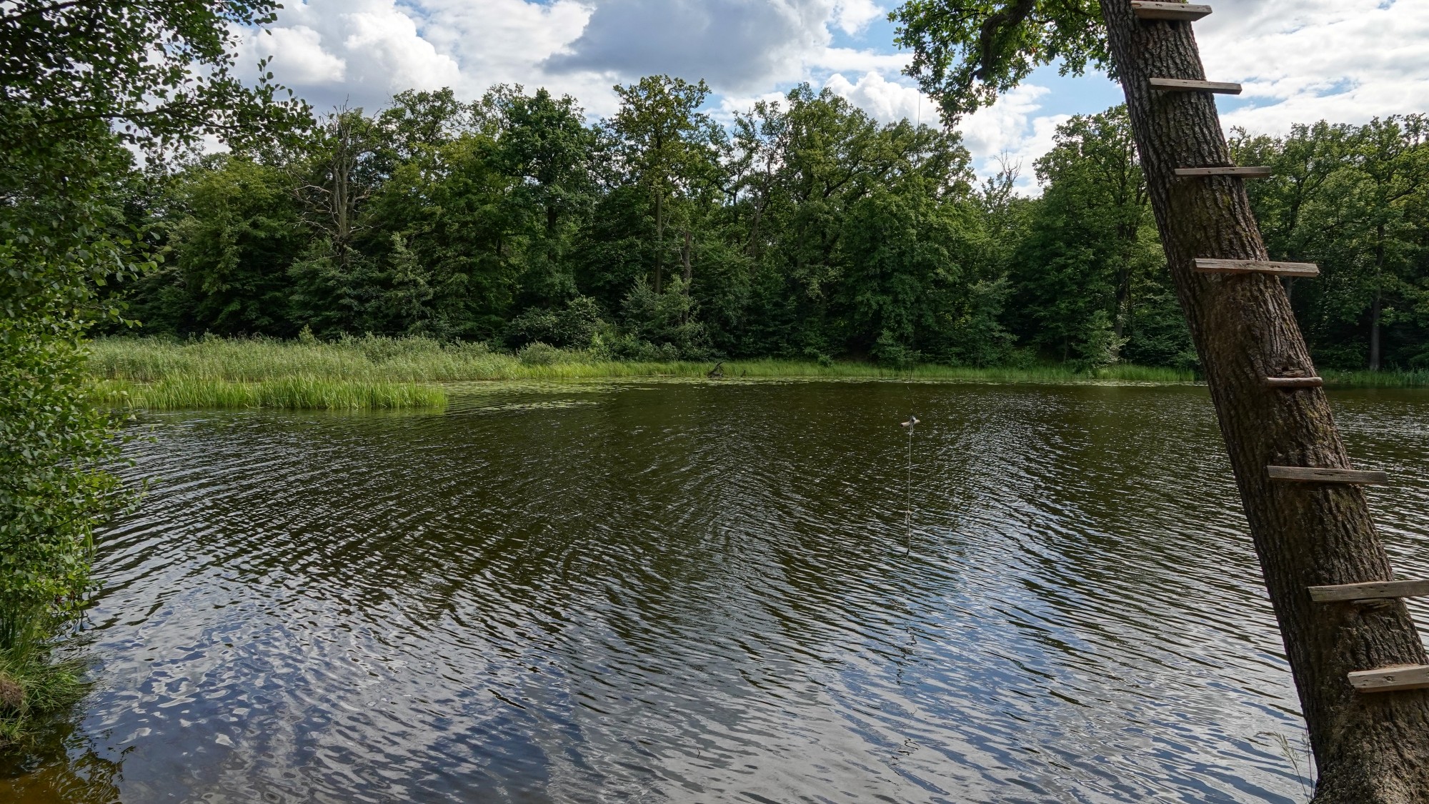 Środek lata w plenerze - zdjęcie 50