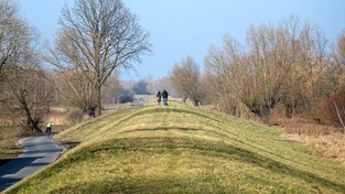 13.04.2021 11:00 Podobno nie ma piękniejszego okresu niż przedwiośnie, gdy natura budzi się do życia. Zobacz świetne nagranie