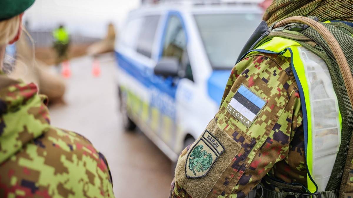 Estonia zbroi się po zęby. Za przykład bierze Polskę