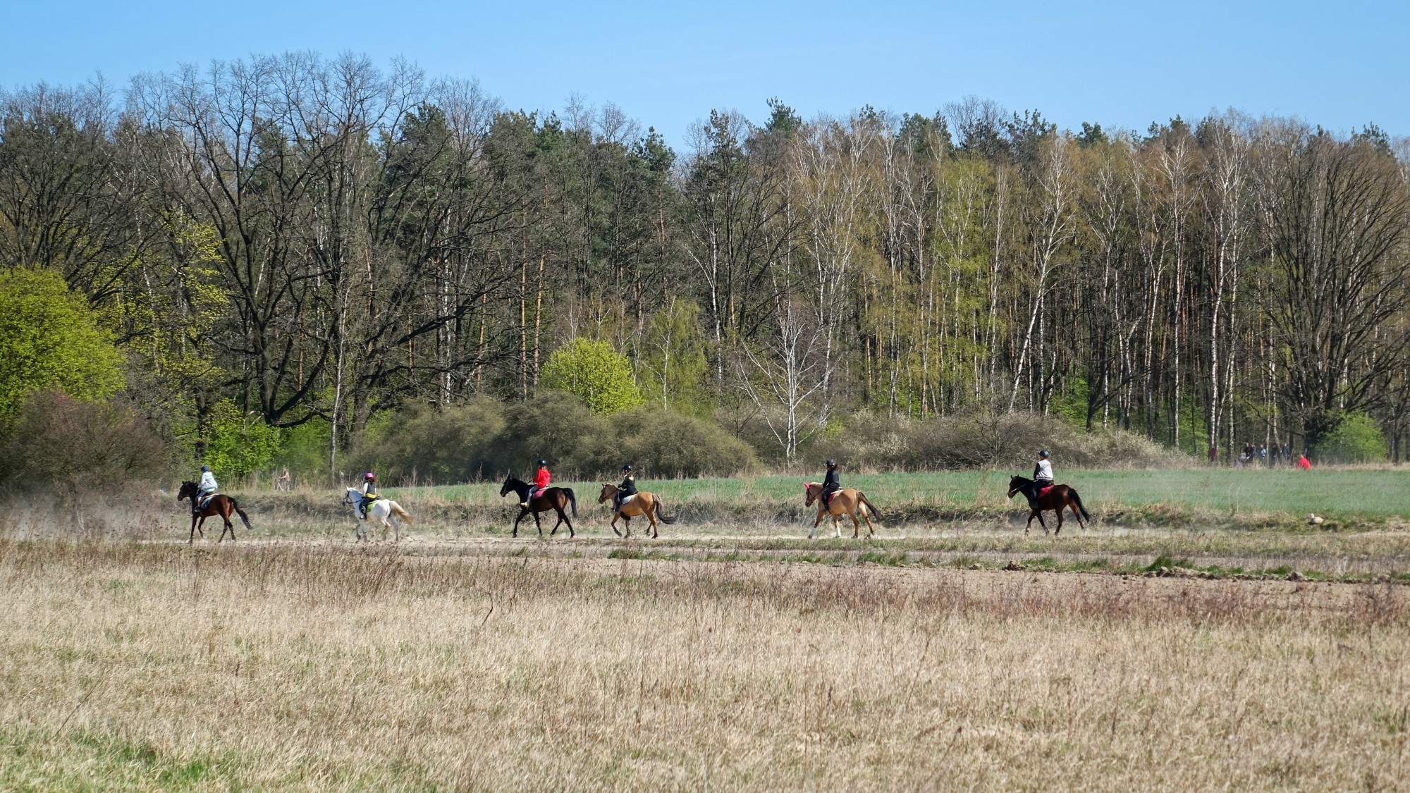 Całe piękno polskiej prowincji - zdjęcie 70