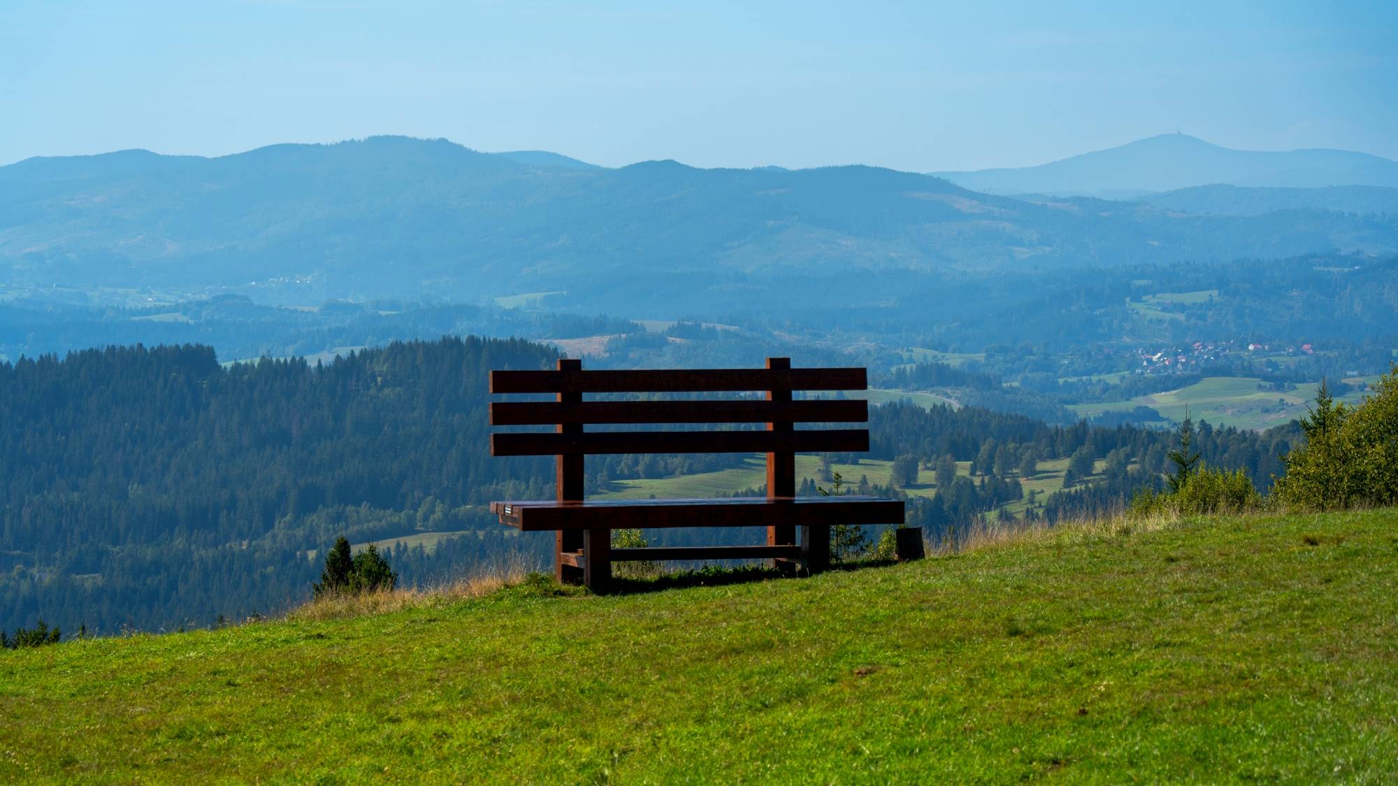 Kolory lata - zdjęcie 11