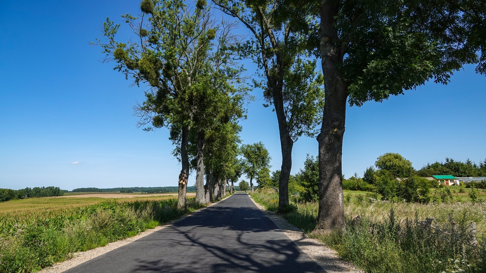 Na pożegnanie lata - zdjęcie 13