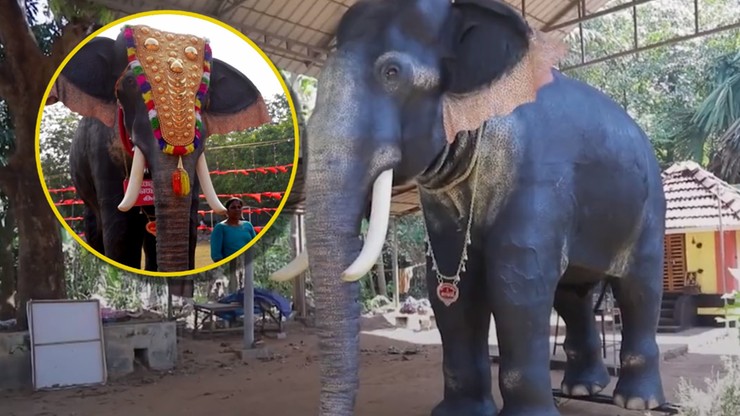 Indie: Słoń-robot zastąpił prawdziwe zwierzęta podczas rytuałów