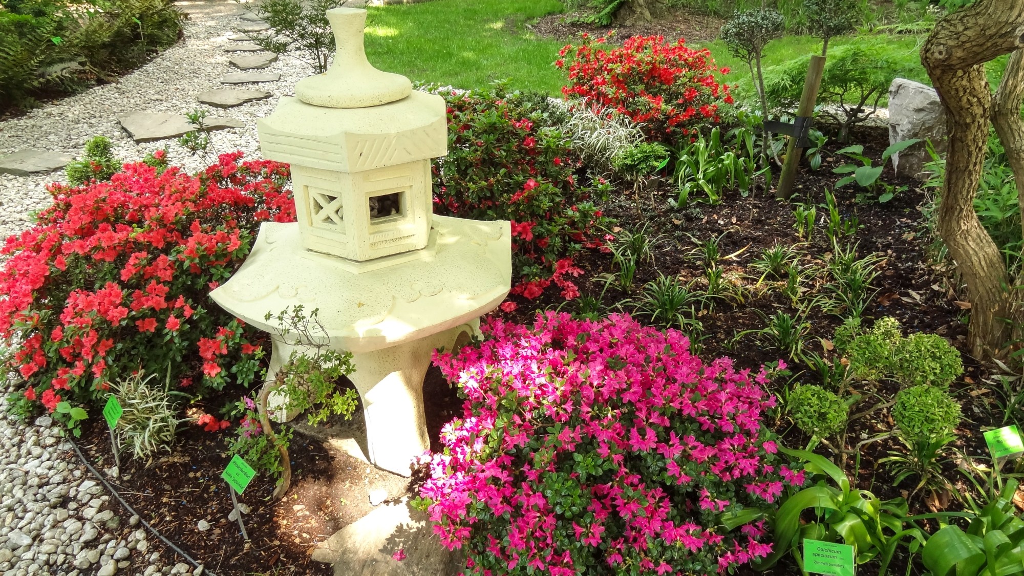 Wiosna radosna - zdjęcie 35