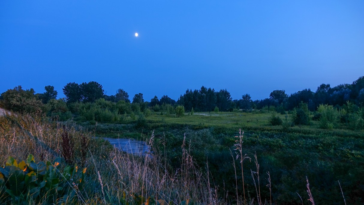 Sierpień w obiektywie - zdjęcie 26