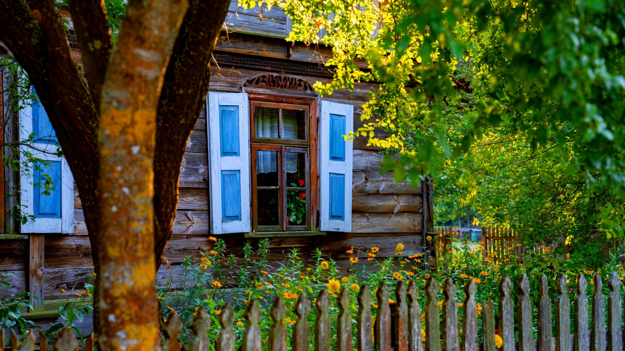 Wśród natury - zdjęcie 24