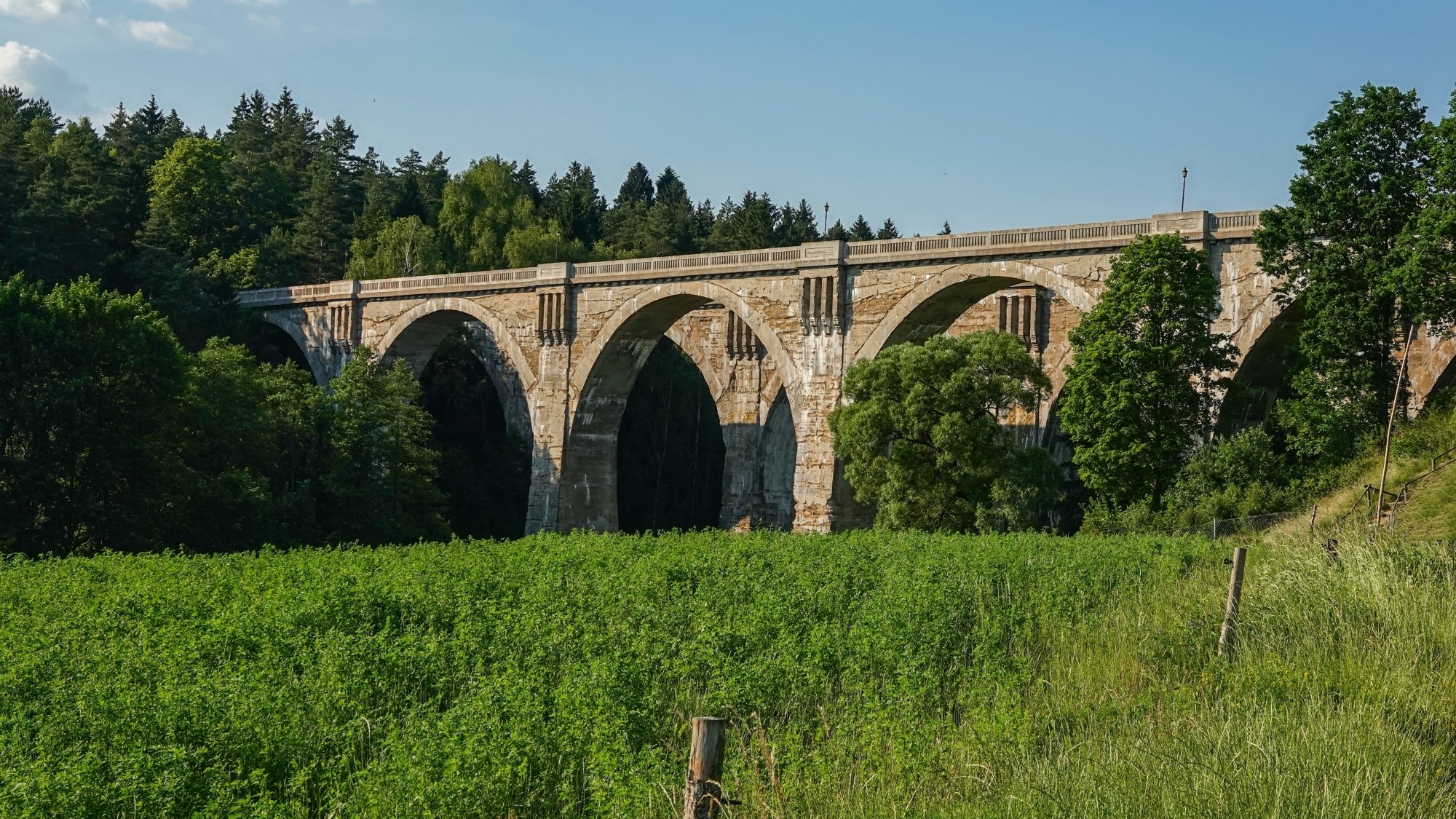 Letnie klimaty na łonie natury - zdjęcie 7