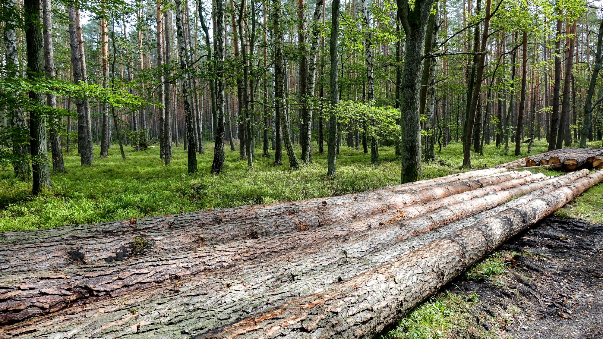 Wrzesień w obiektywie - zdjęcie 23