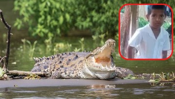 Krokodyl zabił dziecko na oczach rodziców