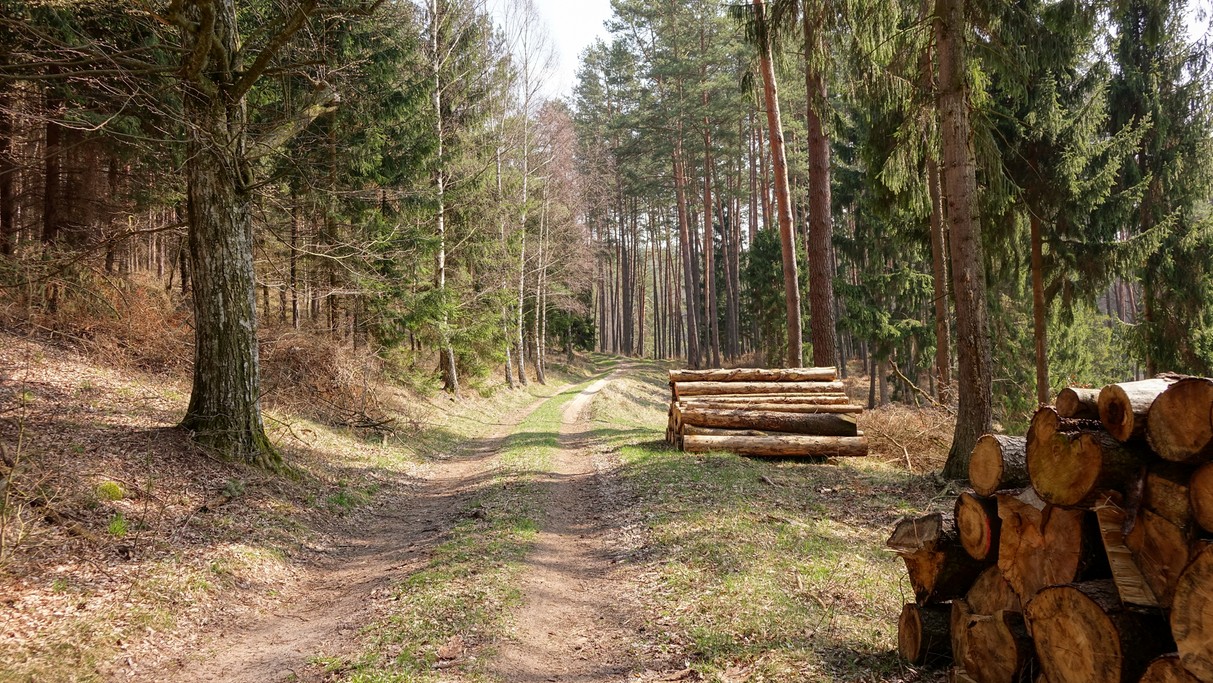 Piękno polskich krajobrazów - zdjęcie 42