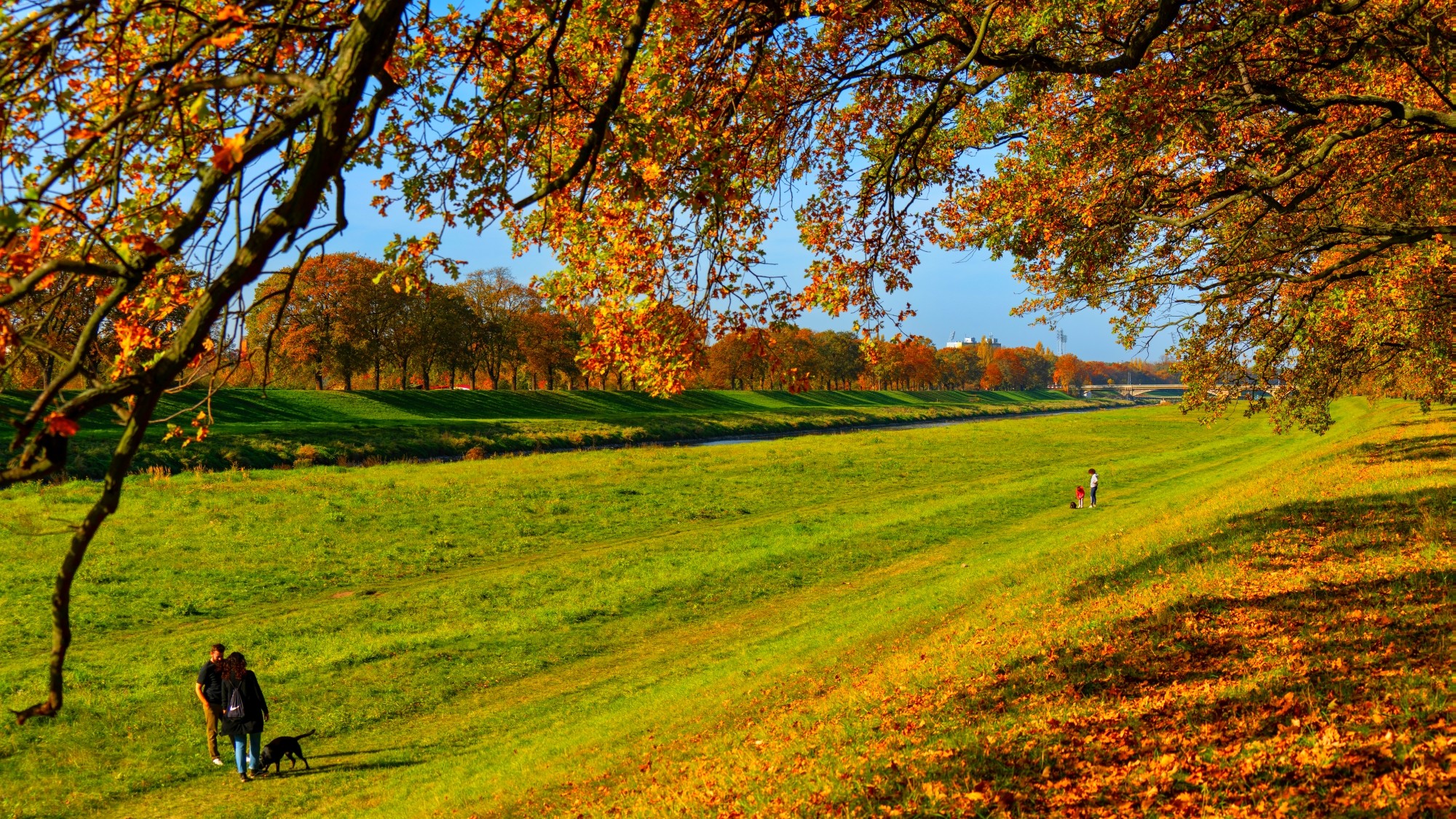 Piękny listopad - zdjęcie 23