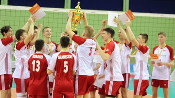 Polscy siatkarze walczą w mistrzostwach Europy. Terminarz meczów 