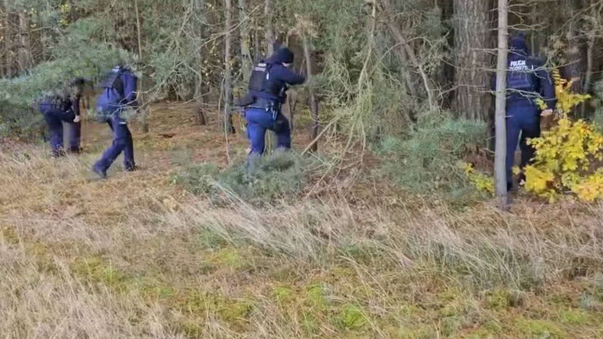 43-latek zaginął na grzybach. Tragiczny finał poszukiwań w Kosierzu