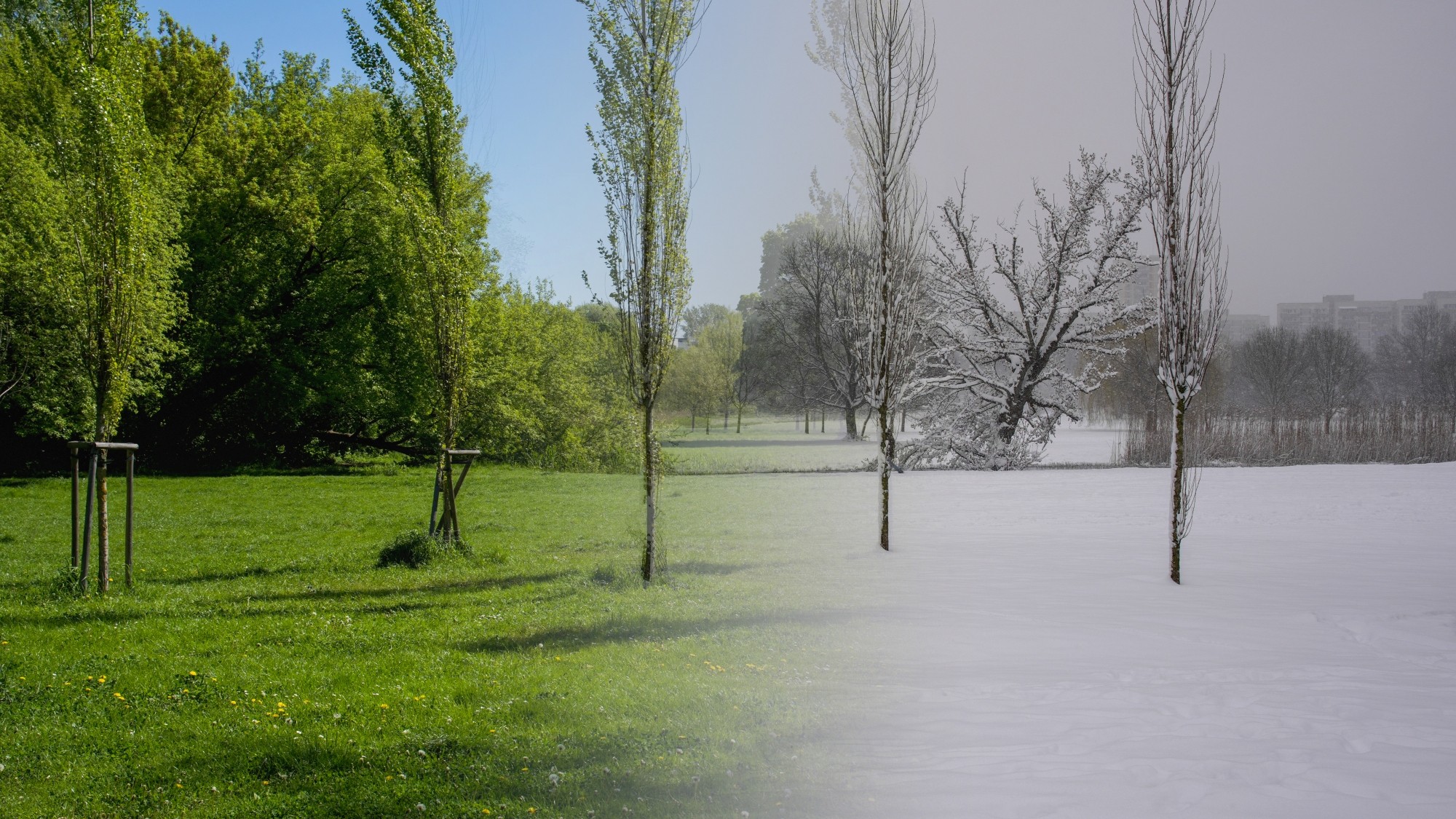 Porównanie wiosny i zimy - zdjęcie 13