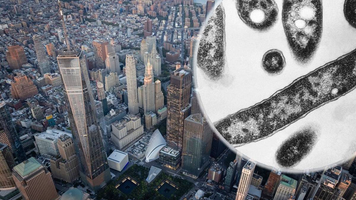 Groźna epidemia w Nowym Jorku. Służby wskazują na klimatyzację