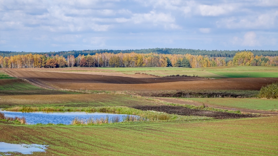 Fot. TwojaPogoda.pl