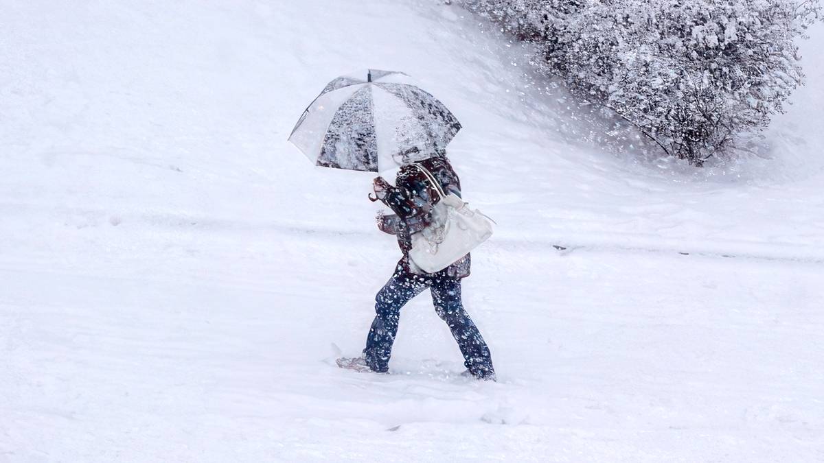 02-12-2025 06:00 Znów zasypie pół Polski? Amerykański model wskazał datę