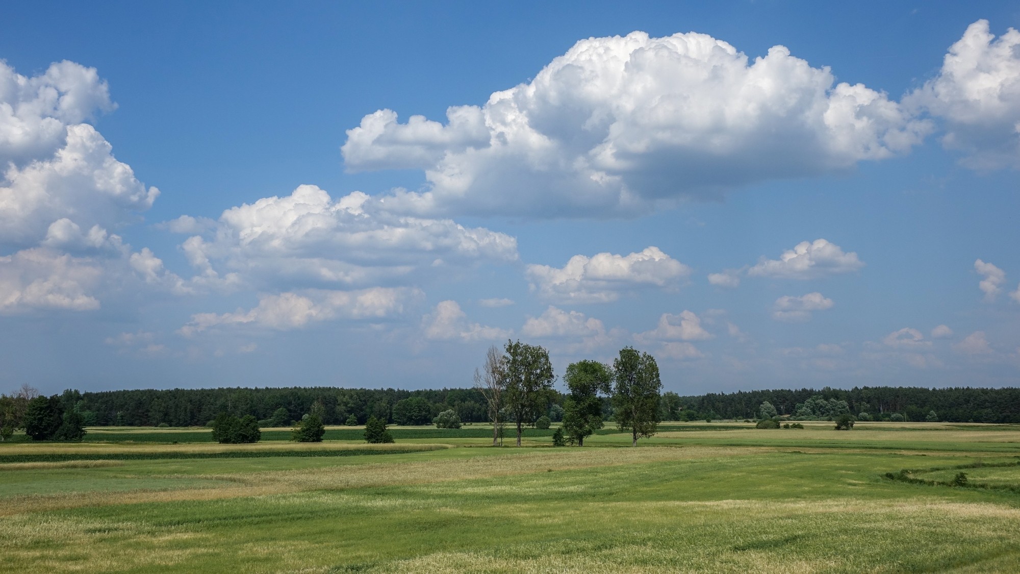 Czerwiec w obiektywie - zdjęcie 46