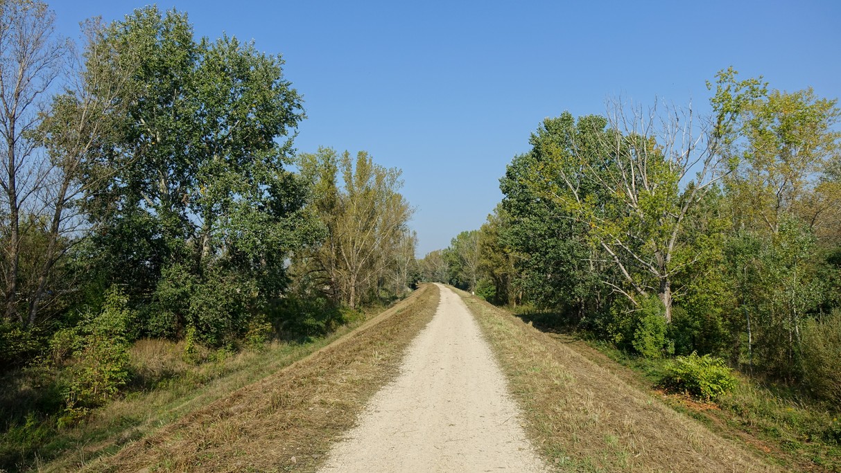 Uroki końca lata - zdjęcie 34