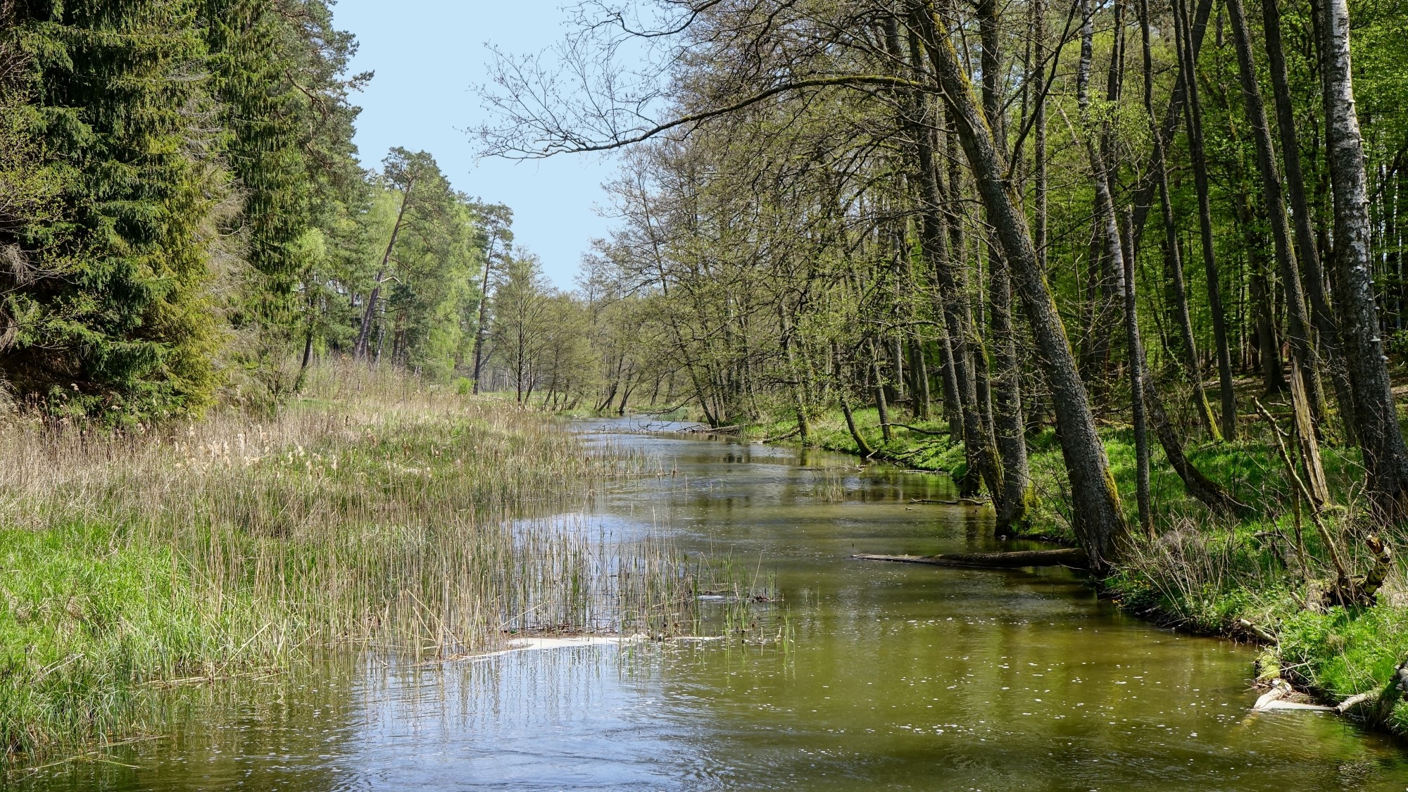 Mazury wiosną - zdjęcie 43