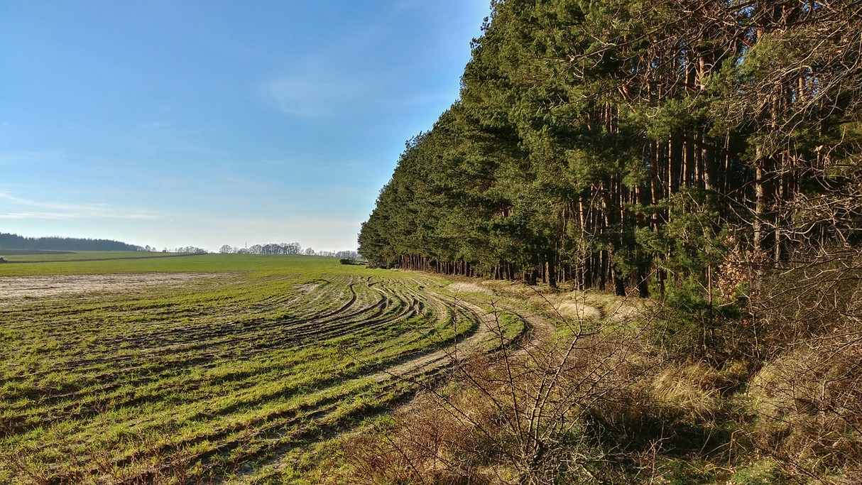Grudzień w obiektywie - zdjęcie 16