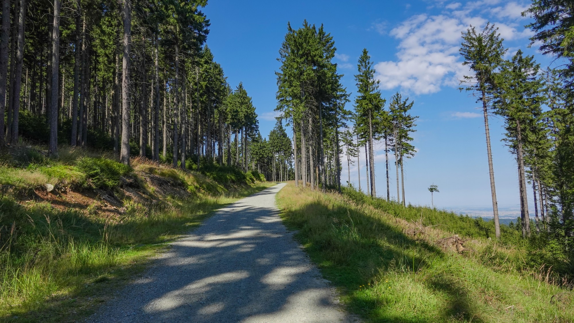 Góry Sowie, Suche i Kamienne - zdjęcie 14