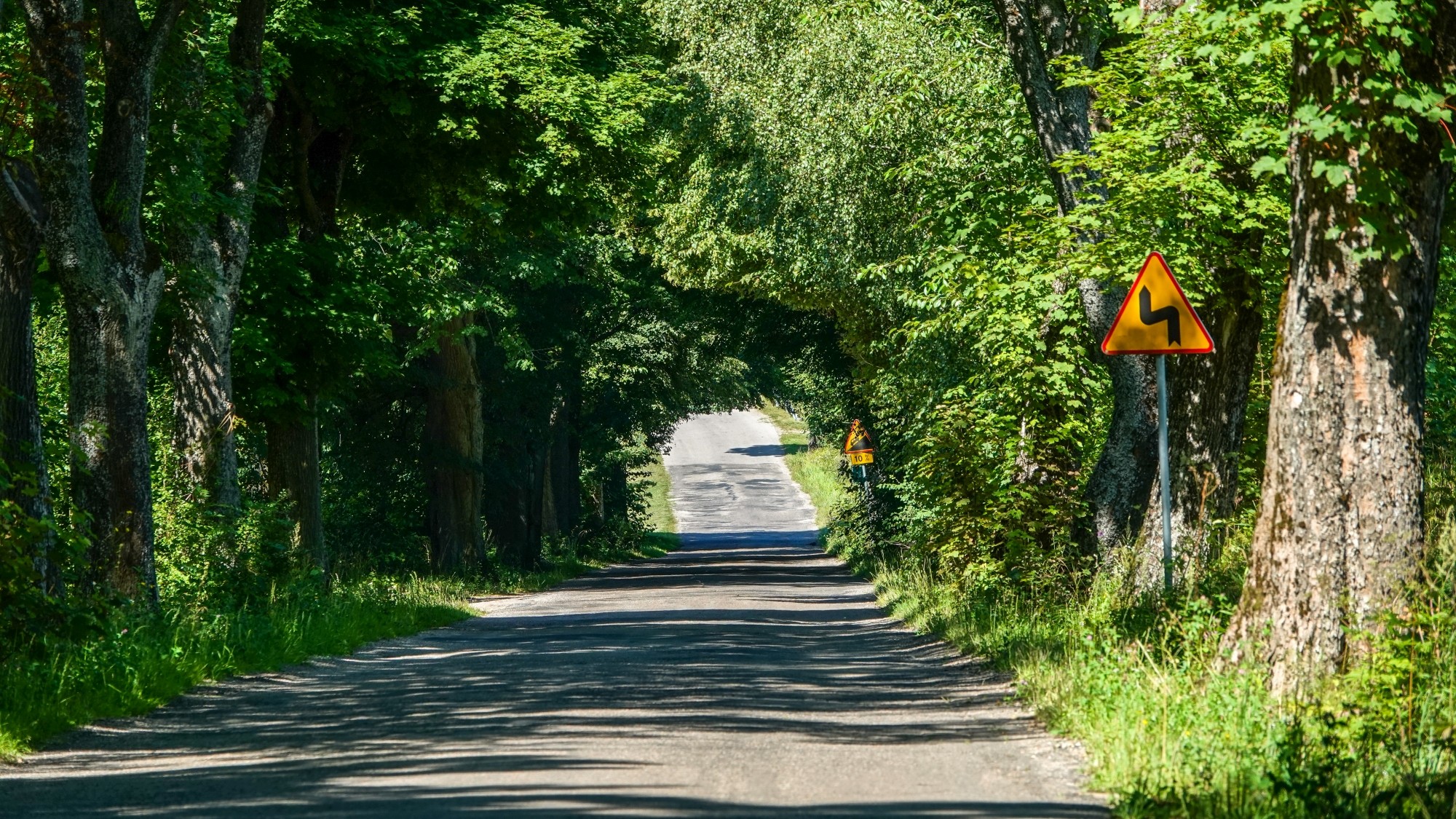 Na pożegnanie lata - zdjęcie 34