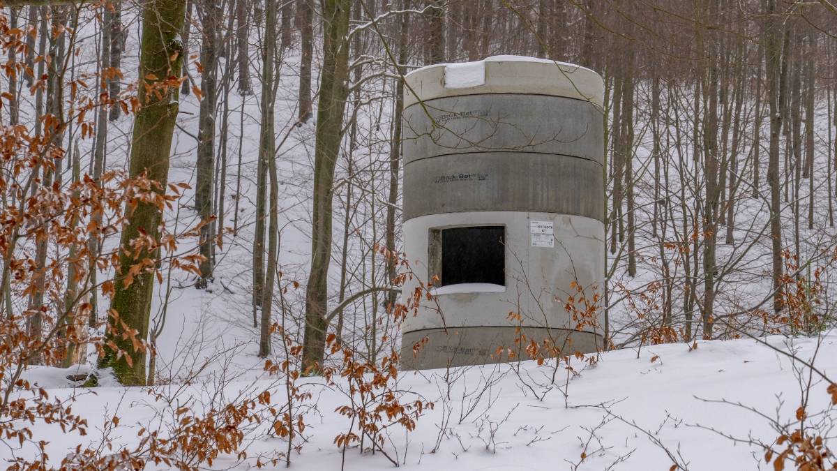 Tak wygląda budowa schronień dla nietoperzy. Fot. TwojaPogoda.pl
