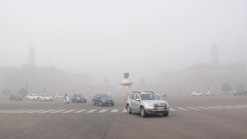 Smog sparaliżował Delhi. "Zanieczyszczenie powietrza poważnie zagraża zdrowiu mieszkańców"