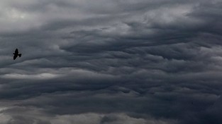 23.07.2021 06:00 Niesamowite chmury zawisły nad Polską. „Wyglądały jakby żywcem były wyjęte z horroru” [ZDJĘCIA]