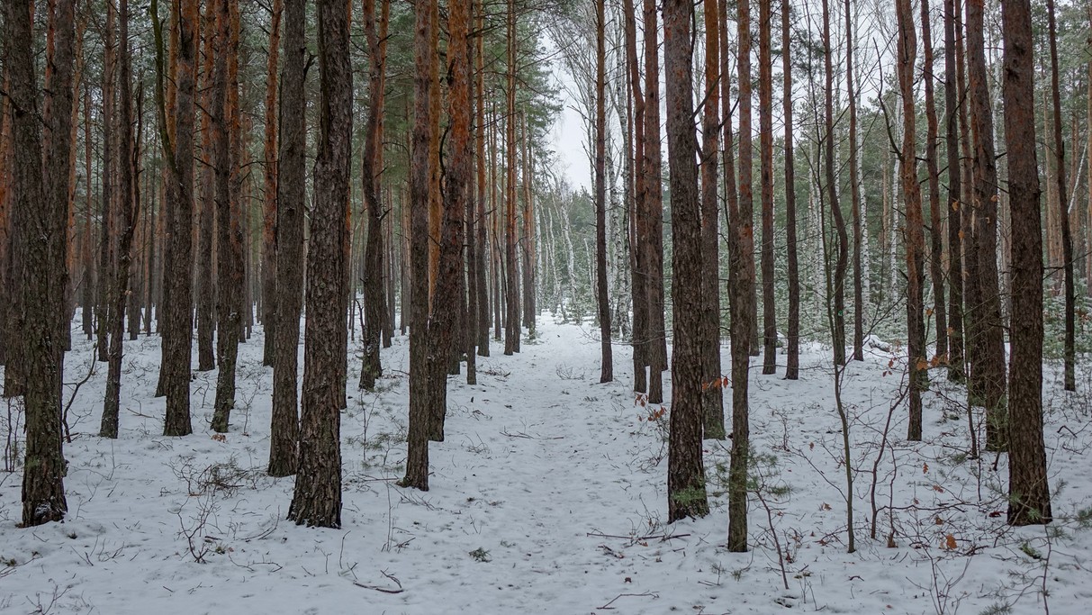 Luty w obiektywie - zdjęcie 25