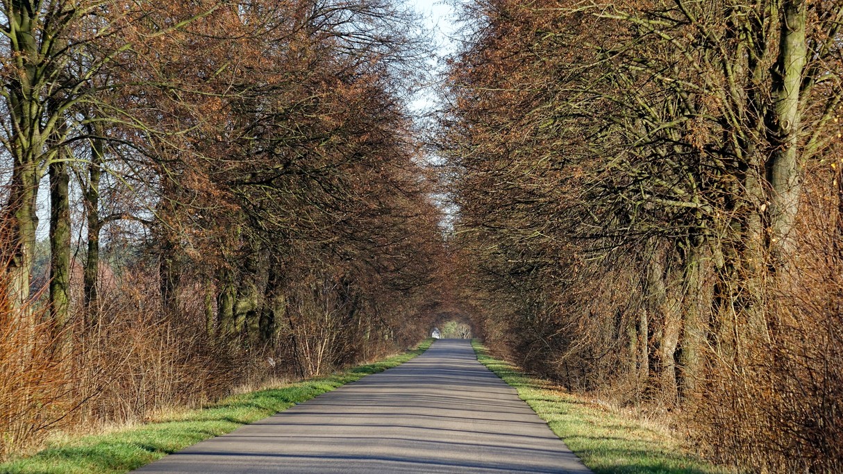 Listopad w obiektywie - zdjęcie 22