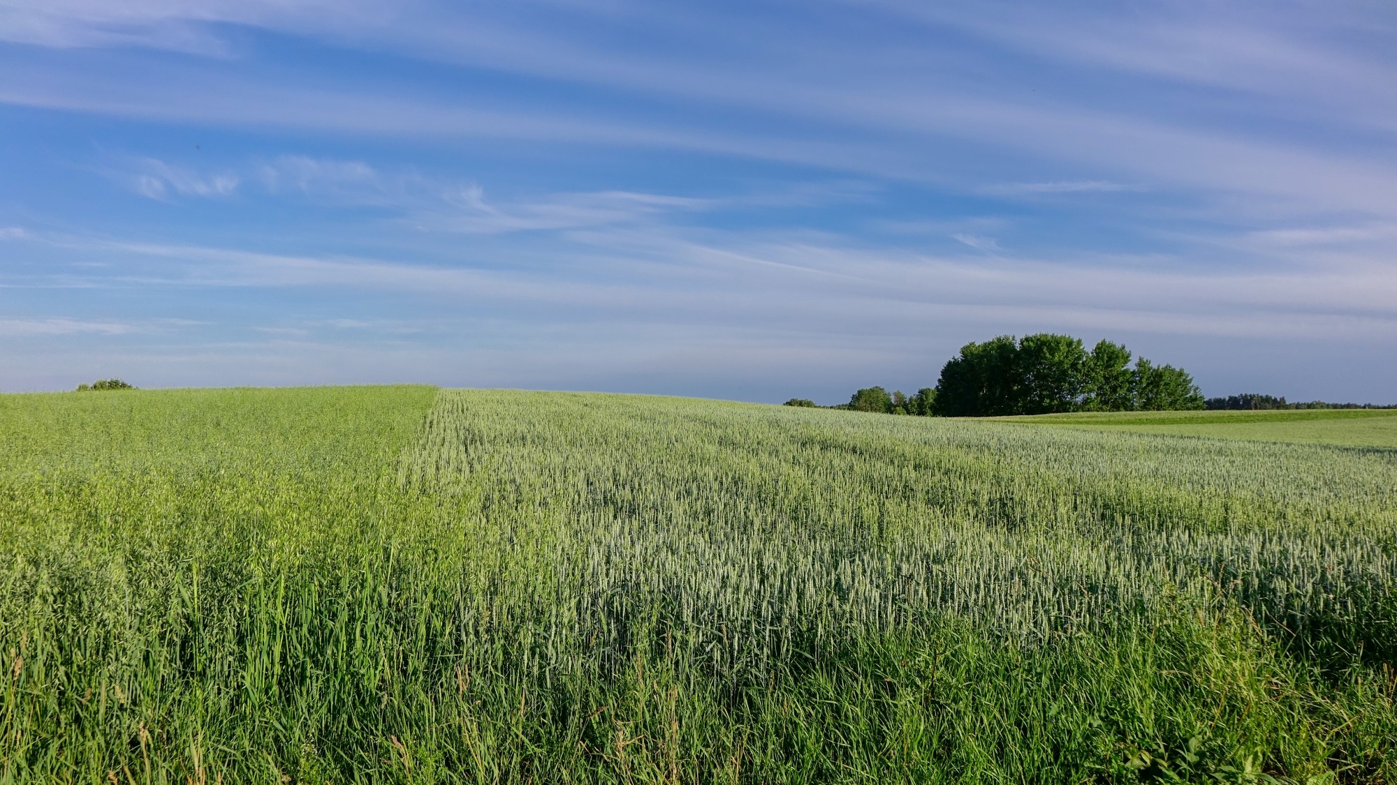 Wakacje minionych lat - zdjęcie 28