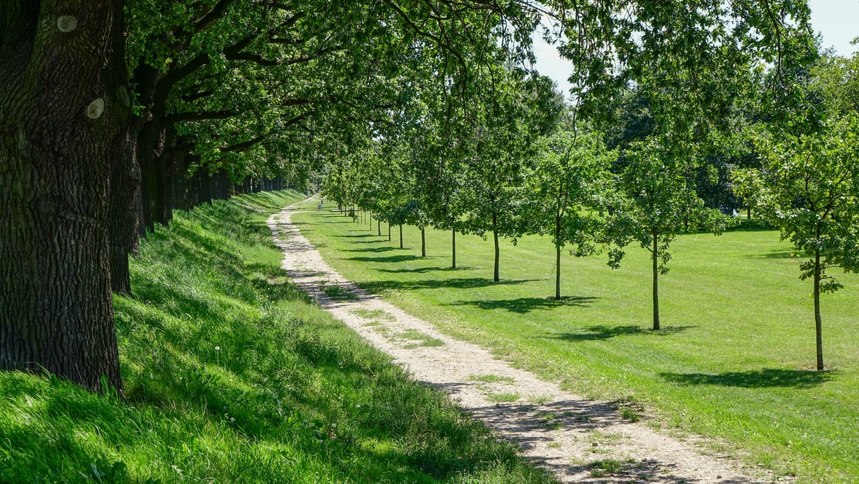 Najpiękniejsze polskie drogi - zdjęcie 8