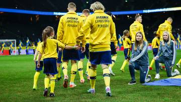 Szwedzi szukają nowego selekcjonera. W wyborze uczestniczą też piłkarze