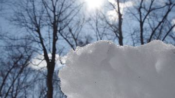 Zbliżenie na grudkę śniegu na pierwszym planie, w tle rozmyte drzewa i niebo z przebijającym się słońcem.