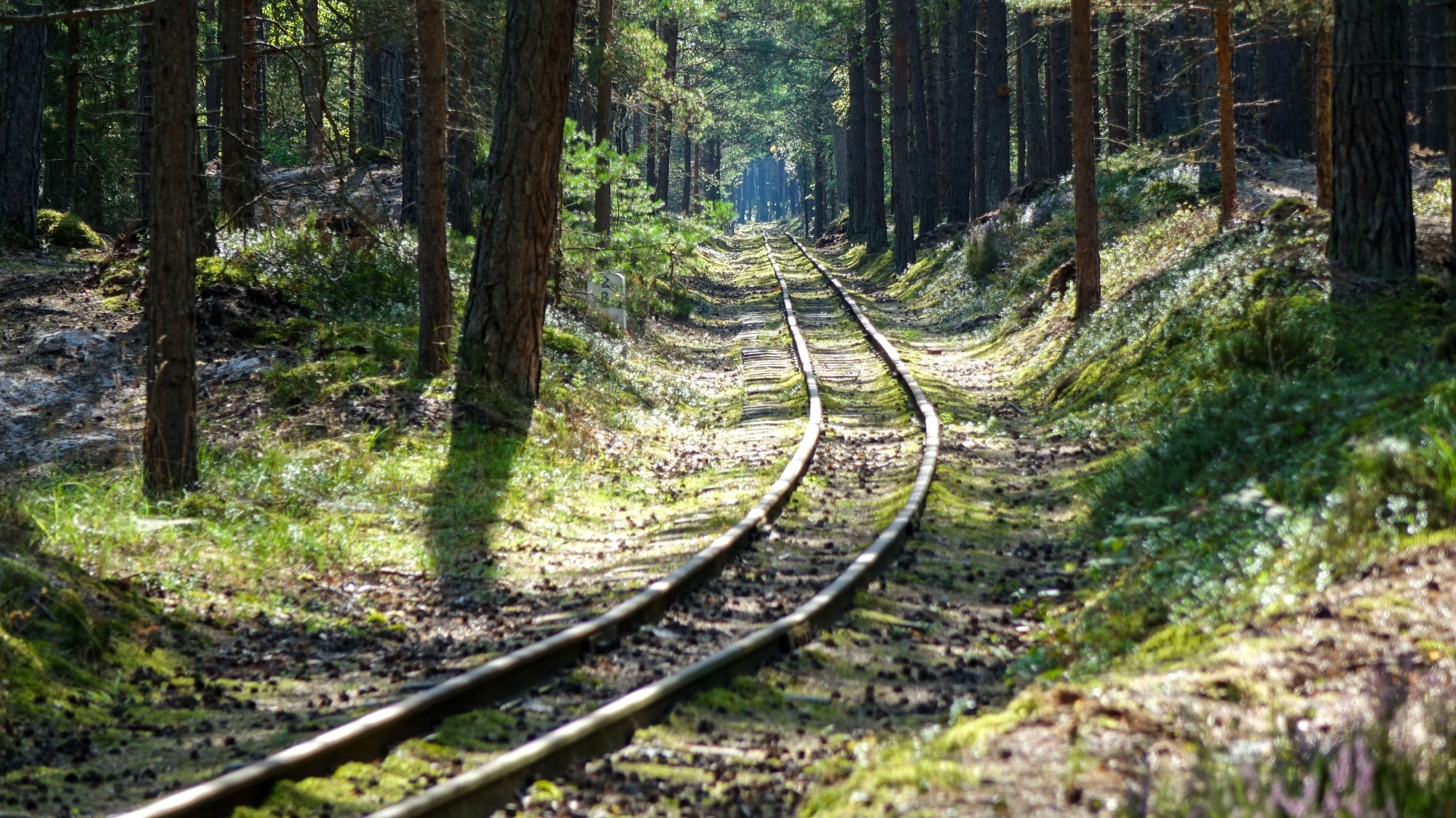 Sierpień w obiektywie - zdjęcie 11