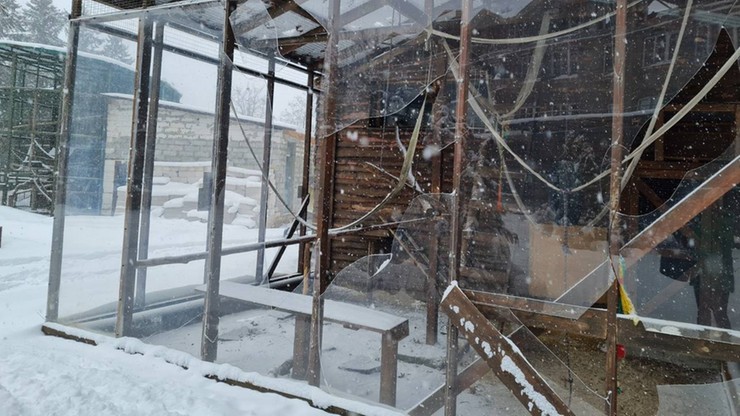 Wojna w Ukrainie. Pracownicy zoo w Charkowie chcieli nakarmić zwierzęta. Rosjanie zabili dwie osoby