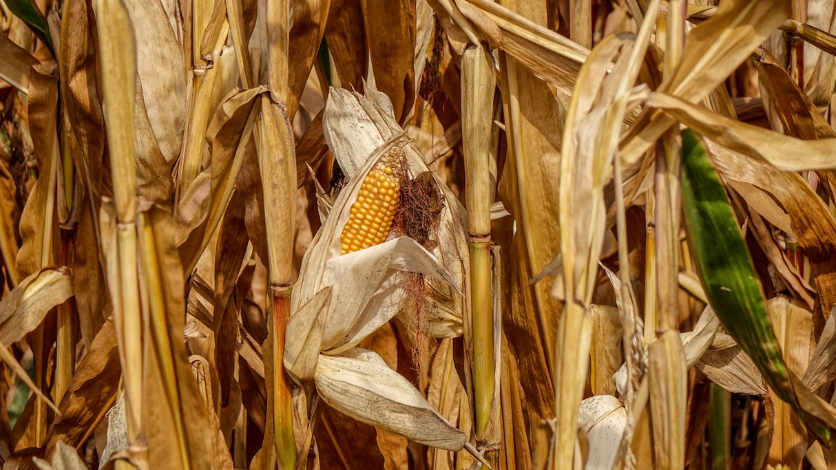 Wrzesień w obiektywie - zdjęcie 22