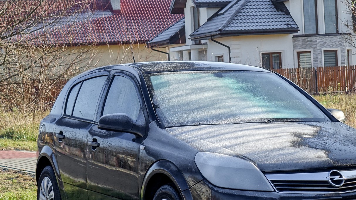 Listopad w obiektywie - zdjęcie 42