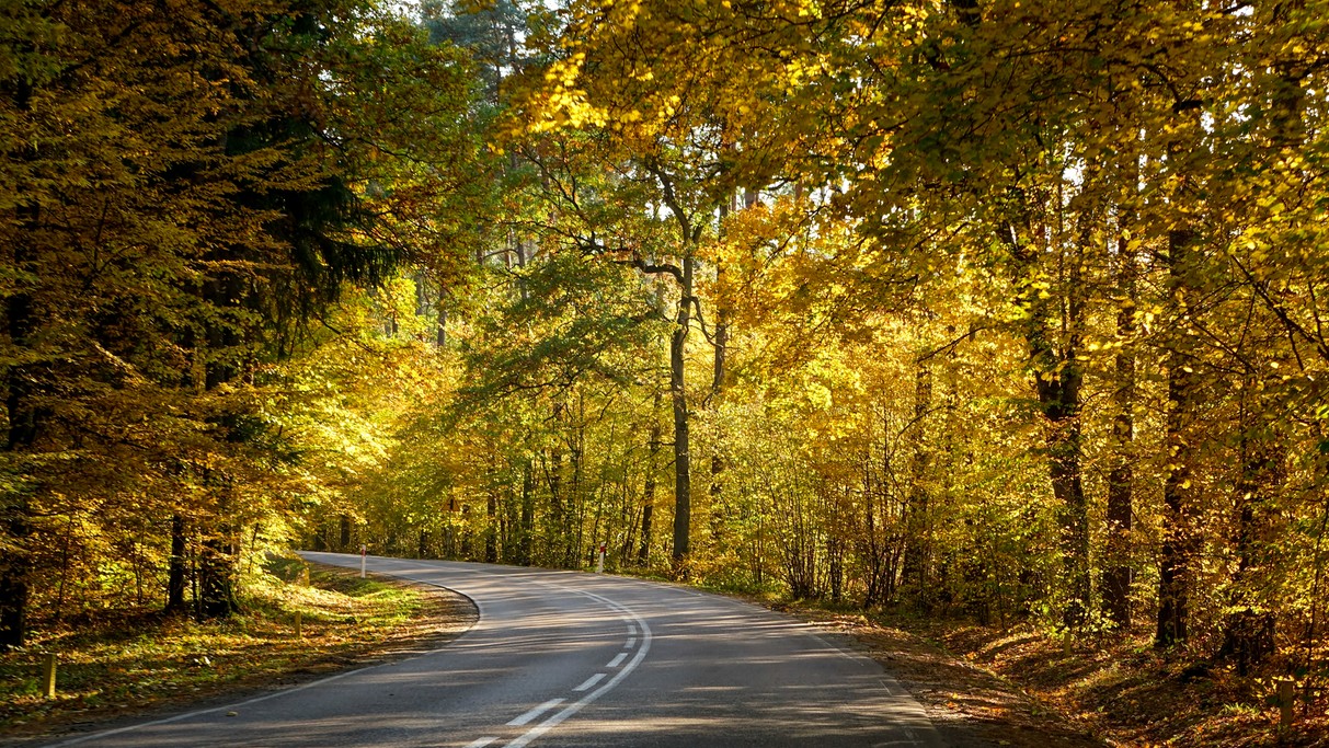Październik w obiektywie - zdjęcie 11