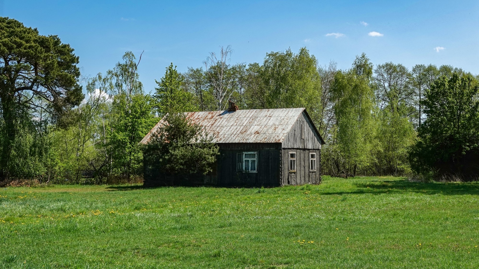 Uroki zielonej pory roku - zdjęcie 33