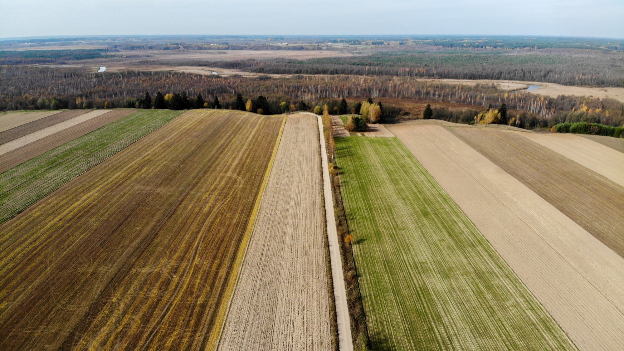 Jesień na nizinach z lotu ptaka - zdjęcie 14