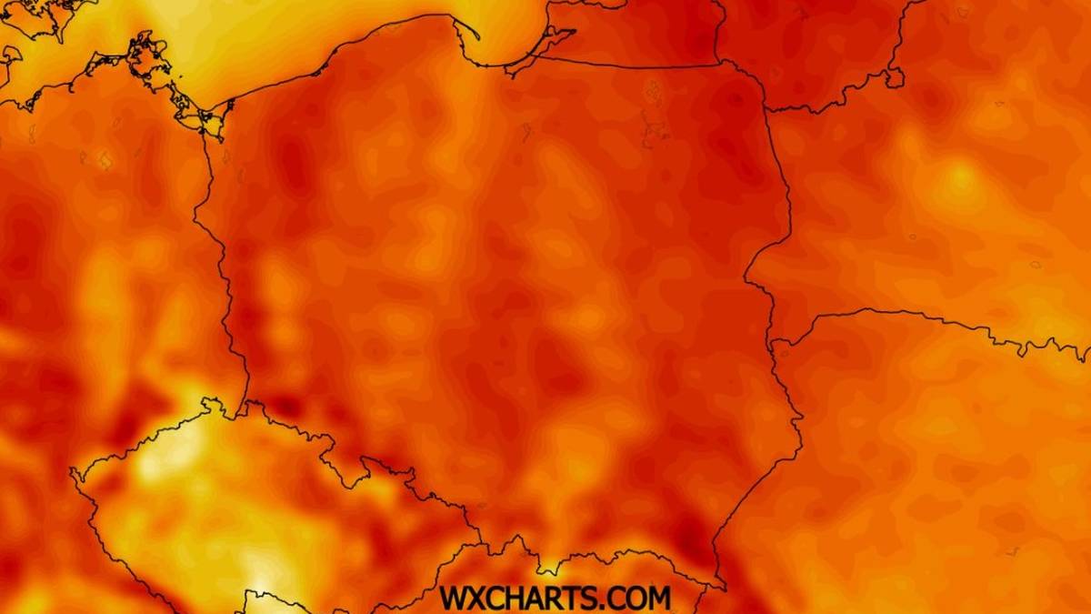 Połowa przyszłego tygodnia będzie zdecydowanie cieplejszym okresem w całym kraju